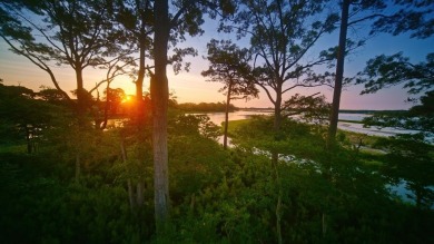 Exceptional Homesite! Welcome to 128 Golden Bear Cir, Lot 60, a on Bay Creek Golf Club in Virginia - for sale on GolfHomes.com, golf home, golf lot