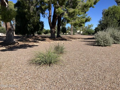ON THE GOLF COURSE with beautiful views of the greens, lake, and on Omni Tucson National Golf Resort and Spa - Catalina in Arizona - for sale on GolfHomes.com, golf home, golf lot