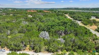 Experience the best of Lake life in Lago Vista with this on Highland Lakes Golf Course in Texas - for sale on GolfHomes.com, golf home, golf lot