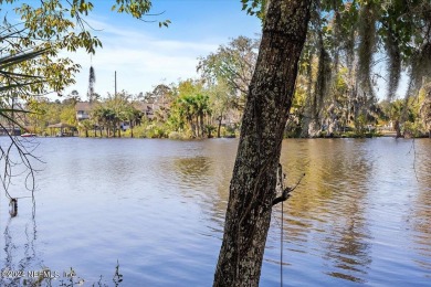 Riverviews and a sparkling pool Everyday on this huge 1/2 acre on Hyde Park Golf Club in Florida - for sale on GolfHomes.com, golf home, golf lot