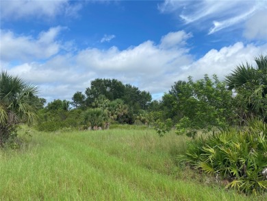 2 Prime vacant residential lots in Harbour Heights, a vibrant on Deep Creek Golf Club in Florida - for sale on GolfHomes.com, golf home, golf lot