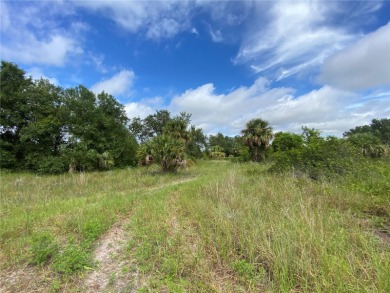 2 Prime vacant residential lots in Harbour Heights, a vibrant on Deep Creek Golf Club in Florida - for sale on GolfHomes.com, golf home, golf lot