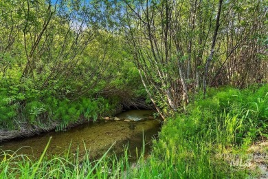 One-of-a-kind Mountain Beauty w/ 360-degree views in private on Terrace Lakes Golf Resort in Idaho - for sale on GolfHomes.com, golf home, golf lot