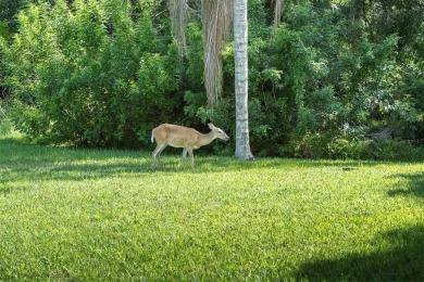 Rare opportunity to own a maintenance-free home in the gated on The Eagles Golf Course and Club in Florida - for sale on GolfHomes.com, golf home, golf lot