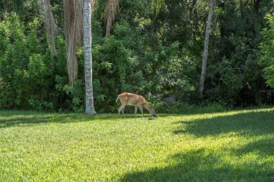 Rare opportunity to own a maintenance-free home in the gated on The Eagles Golf Course and Club in Florida - for sale on GolfHomes.com, golf home, golf lot