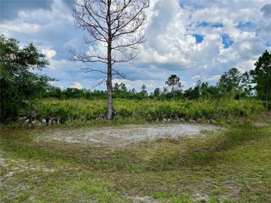 Country living at is finest!! Come and be apart of the growing on Indian Lake Estates Golf and Country Club in Florida - for sale on GolfHomes.com, golf home, golf lot
