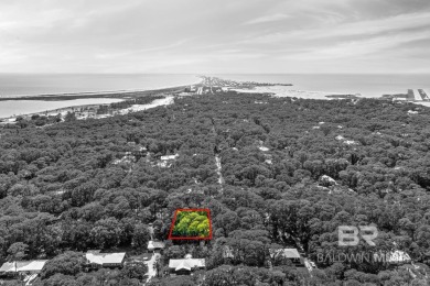 Great price on this wooded lot just south of Bienville Boulevard on Isle Dauphine Club Golf Course in Alabama - for sale on GolfHomes.com, golf home, golf lot