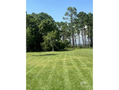 Build your dream home on this large lot located in the heart of on Orange Beach Golf Center in Alabama - for sale on GolfHomes.com, golf home, golf lot