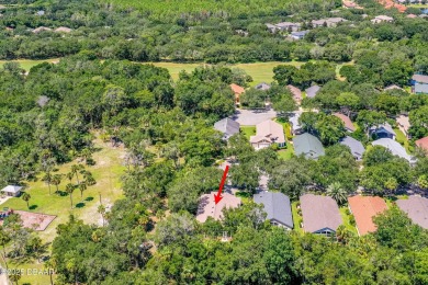 This Beautiful Home Offers Space, Architectural Features on Halifax Plantation Golf Club in Florida - for sale on GolfHomes.com, golf home, golf lot