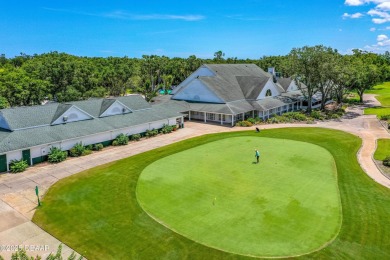 This Beautiful Home Offers Space, Architectural Features on Halifax Plantation Golf Club in Florida - for sale on GolfHomes.com, golf home, golf lot