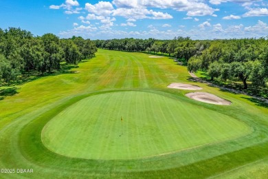 This Beautiful Home Offers Space, Architectural Features on Halifax Plantation Golf Club in Florida - for sale on GolfHomes.com, golf home, golf lot