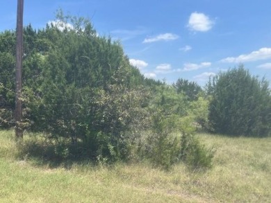 LEVEL LOT ON GOLF COURSE GREAT FOR SECOND HOME OR PRIMARY on White Bluff Resort - New Course in Texas - for sale on GolfHomes.com, golf home, golf lot