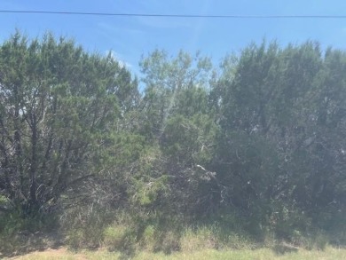 LEVEL LOT ON GOLF COURSE GREAT FOR SECOND HOME OR PRIMARY on White Bluff Resort - New Course in Texas - for sale on GolfHomes.com, golf home, golf lot