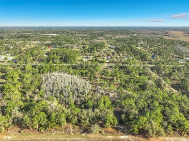 Come and build your dream home on this **2.88 Acres combined on Wedgefield Golf Club in Florida - for sale on GolfHomes.com, golf home, golf lot