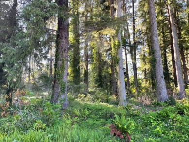 Serene creekfront property on quiet Gearhart Lane. Property is a on Gearhart Golf Links in Oregon - for sale on GolfHomes.com, golf home, golf lot