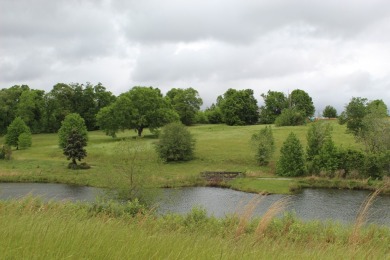 Builder Ready Lots in the Willow Walk Subdivision. Enjoy all the on Headland Country Club in Alabama - for sale on GolfHomes.com, golf home, golf lot
