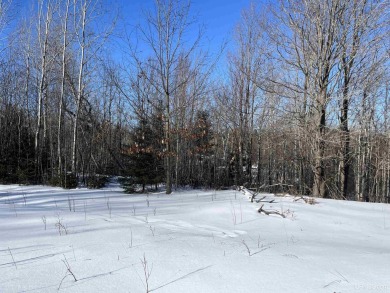 Discover the perfect canvas for your future at 617 Cherry Creek on Gentzs Homestead Golf Course in Michigan - for sale on GolfHomes.com, golf home, golf lot