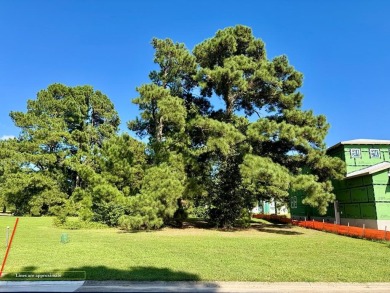 Build your dream coastal home on Lot 82 in Marina Village East on Bay Creek Golf Club in Virginia - for sale on GolfHomes.com, golf home, golf lot