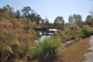 Builder Ready Lots in the Willow Walk Subdivision. Enjoy all the on Headland Country Club in Alabama - for sale on GolfHomes.com, golf home, golf lot