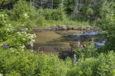 Welcome to the beautiful beach and towering pines of The Shores on Grand Traverse Resort and Spa in Michigan - for sale on GolfHomes.com, golf home, golf lot