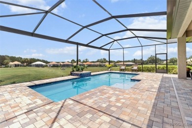 Stunning Custom Pool Home on the 14th Green in Luxurious Terra on Skyview At Terra Vista Golf and Country Club in Florida - for sale on GolfHomes.com, golf home, golf lot