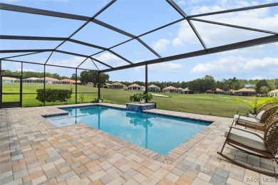 Stunning Custom Pool Home on the 14th Green in Luxurious Terra on Skyview At Terra Vista Golf and Country Club in Florida - for sale on GolfHomes.com, golf home, golf lot