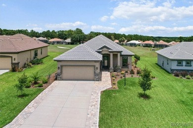 Stunning Custom Pool Home on the 14th Green in Luxurious Terra on Skyview At Terra Vista Golf and Country Club in Florida - for sale on GolfHomes.com, golf home, golf lot