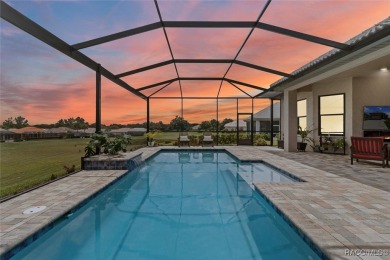 Stunning Custom Pool Home on the 14th Green in Luxurious Terra on Skyview At Terra Vista Golf and Country Club in Florida - for sale on GolfHomes.com, golf home, golf lot