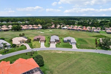 Stunning Custom Pool Home on the 14th Green in Luxurious Terra on Skyview At Terra Vista Golf and Country Club in Florida - for sale on GolfHomes.com, golf home, golf lot