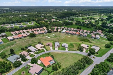 Stunning Custom Pool Home on the 14th Green in Luxurious Terra on Skyview At Terra Vista Golf and Country Club in Florida - for sale on GolfHomes.com, golf home, golf lot
