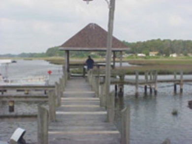 HUGE LOT!!!  This lot has the square footage of two lots.  But on Captains Cove Golf and Yacht Club in Virginia - for sale on GolfHomes.com, golf home, golf lot