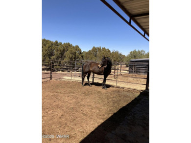 Rancher's dream! 18.75-acre off-grid horse property just 25 on Silver Creek Golf Club in Arizona - for sale on GolfHomes.com, golf home, golf lot