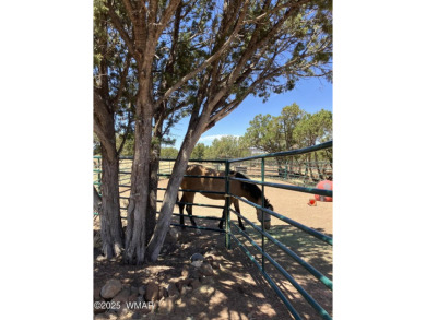 Rancher's dream! 18.75-acre off-grid horse property just 25 on Silver Creek Golf Club in Arizona - for sale on GolfHomes.com, golf home, golf lot