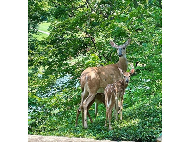 Rare opportunity to acquire one of Cedar Creek's Signature on Shadow Glen Golf Club in Kansas - for sale on GolfHomes.com, golf home, golf lot