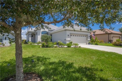 Welcome to your dream villa, built in 2023, in the highly on Skyview At Terra Vista Golf and Country Club in Florida - for sale on GolfHomes.com, golf home, golf lot