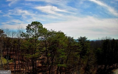 Nestled atop Lookout Mountain in Northern Georgia is McLemore on McLemore Golf Club in Georgia - for sale on GolfHomes.com, golf home, golf lot