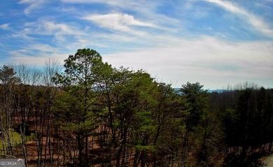 Nestled atop Lookout Mountain in Northern Georgia is McLemore on McLemore Golf Club in Georgia - for sale on GolfHomes.com, golf home, golf lot