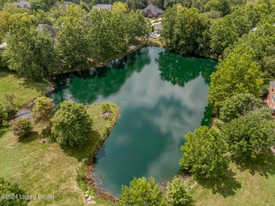 Price improvement = call your agent now to schedule a showing on Persimmon Ridge Golf Club in Kentucky - for sale on GolfHomes.com, golf home, golf lot