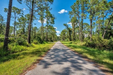 Your opportunity to build in beautiful Sebring! ?? This spacious on  in Florida - for sale on GolfHomes.com, golf home, golf lot