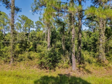 Your opportunity to build in beautiful Sebring! ?? This spacious on  in Florida - for sale on GolfHomes.com, golf home, golf lot