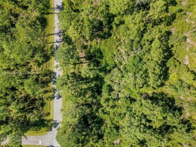 Your opportunity to build in beautiful Sebring! ?? This spacious on  in Florida - for sale on GolfHomes.com, golf home, golf lot