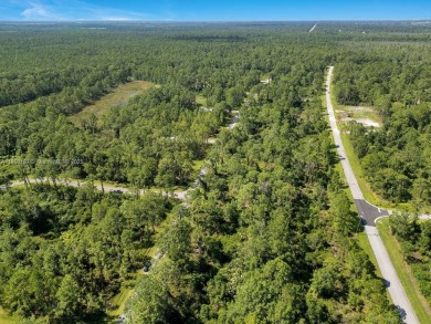 Your opportunity to build in beautiful Sebring! ?? This spacious on  in Florida - for sale on GolfHomes.com, golf home, golf lot