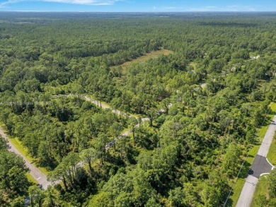 Your opportunity to build in beautiful Sebring! ?? This spacious on  in Florida - for sale on GolfHomes.com, golf home, golf lot