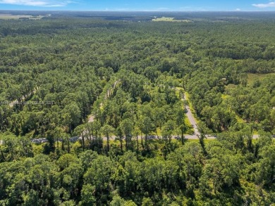 Your opportunity to build in beautiful Sebring! ?? This spacious on  in Florida - for sale on GolfHomes.com, golf home, golf lot