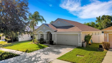 Welcome to 11567 Misty Isle Lane in Riverview, FL. This on Summerfield Crossing Golf Club in Florida - for sale on GolfHomes.com, golf home, golf lot