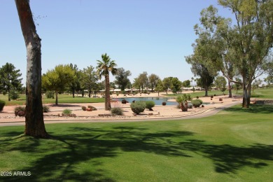 STUNNING CUSTOM COCHISE Floor Plan w/ GOLF CART GARAGE in the on Oakwood Golf Club  in Arizona - for sale on GolfHomes.com, golf home, golf lot