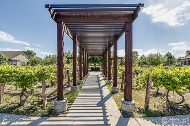 Welcome to this meticulously upgraded ranch-style patio home in on Pelican Lakes Golf and Country Club in Colorado - for sale on GolfHomes.com, golf home, golf lot