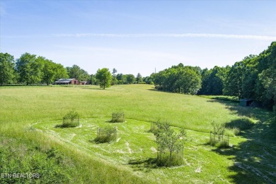 This property has it all!.. serene country living, a unique on Bear Trace At Cumberland Mountain in Tennessee - for sale on GolfHomes.com, golf home, golf lot