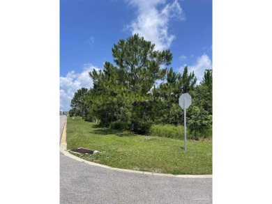 Exceptional Opportunity to Build Your Dream Home in Gulf on Tiger Point Golf and Country Club in Florida - for sale on GolfHomes.com, golf home, golf lot
