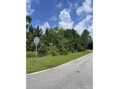 Exceptional Opportunity to Build Your Dream Home in Gulf on Tiger Point Golf and Country Club in Florida - for sale on GolfHomes.com, golf home, golf lot